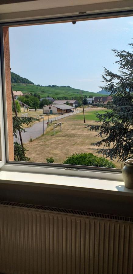 Gite Dans Vignoble Alsacien Westhalten ภายนอก รูปภาพ