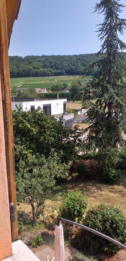 Gite Dans Vignoble Alsacien Westhalten ภายนอก รูปภาพ