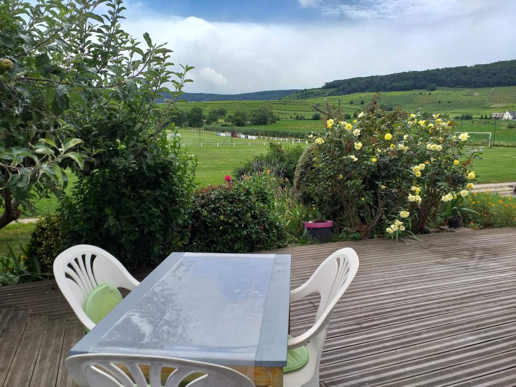 Gite Dans Vignoble Alsacien Westhalten ภายนอก รูปภาพ